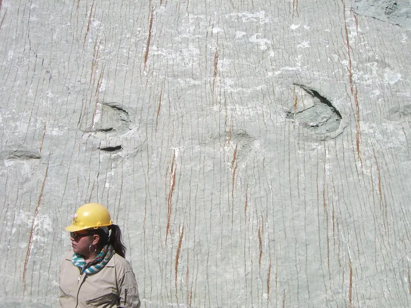 Dinosaur Footprints at Sucre