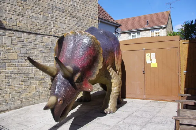Dinosaur Museum