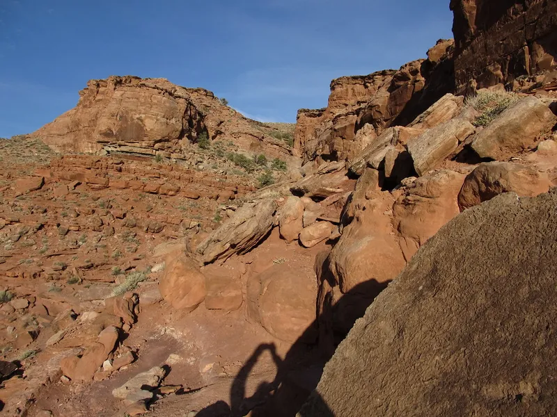 Dinosaur Tracks