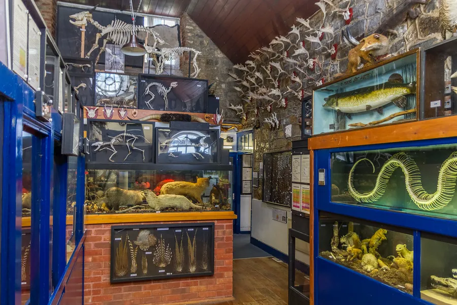 Dinosaurland Fossil Museum