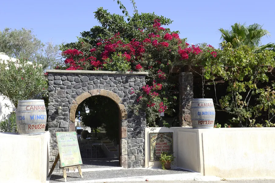 Dionysus Winery
