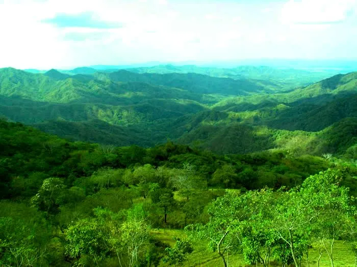 Diriá National Park