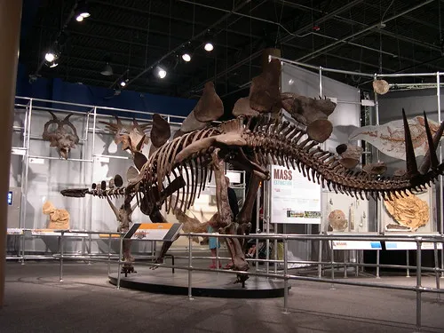 Discovery Science Place