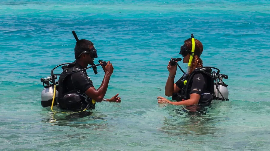 Diving Trips