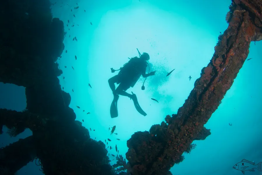 Diving and Snorkeling Sites
