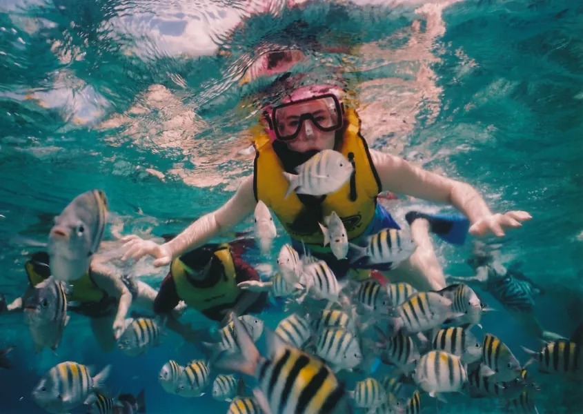 Diving and Snorkeling near Maria Chiquita