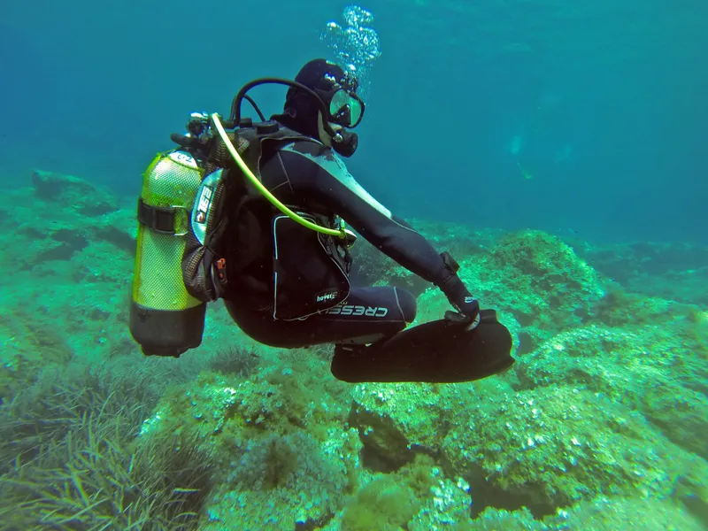 Diving in the Caribbean Sea