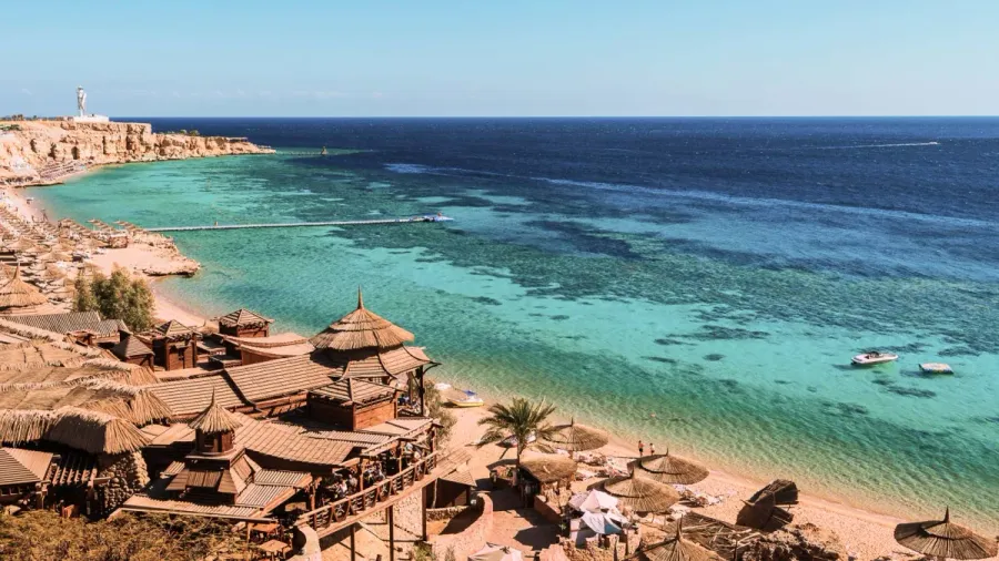 Diving in the Red Sea