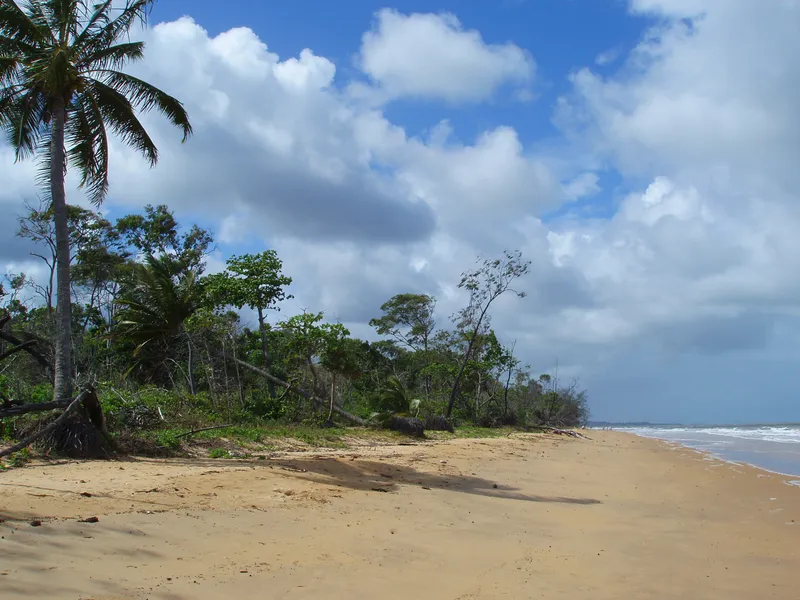 Djiru National Park