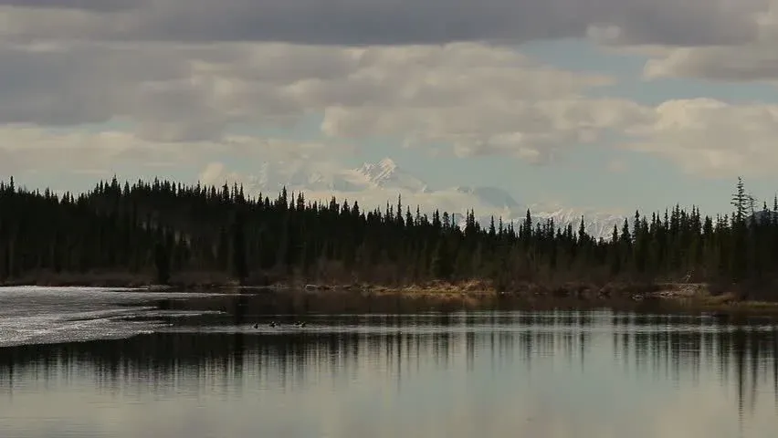 Dog Sledding Demonstrations