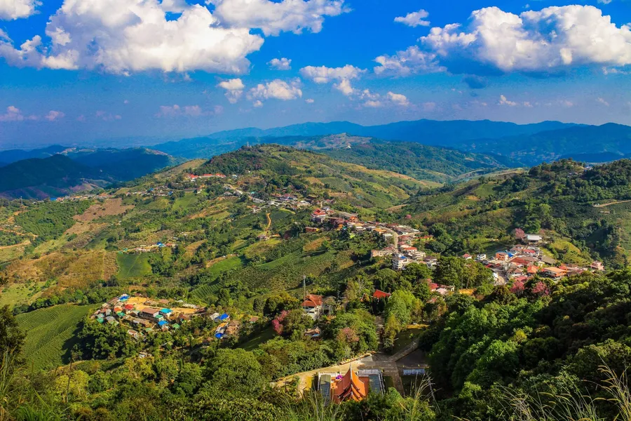 Doi Mae Salong