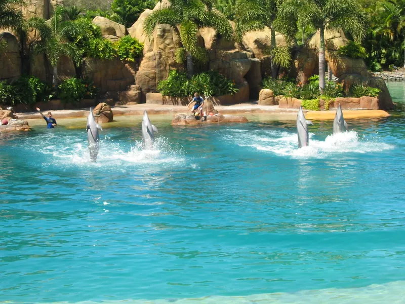 Dolphin Cove