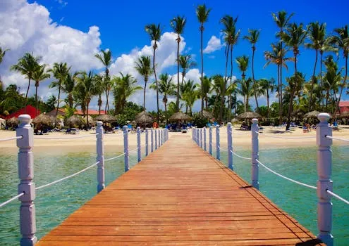 Dolphin Discovery Punta Cana