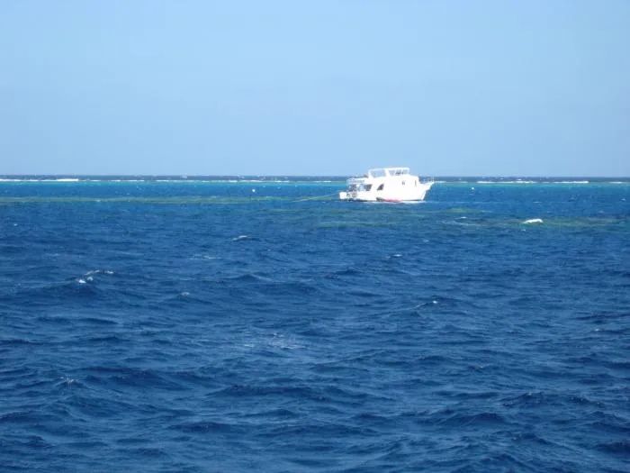 Dolphin House Reef (Sha'ab Samadai)