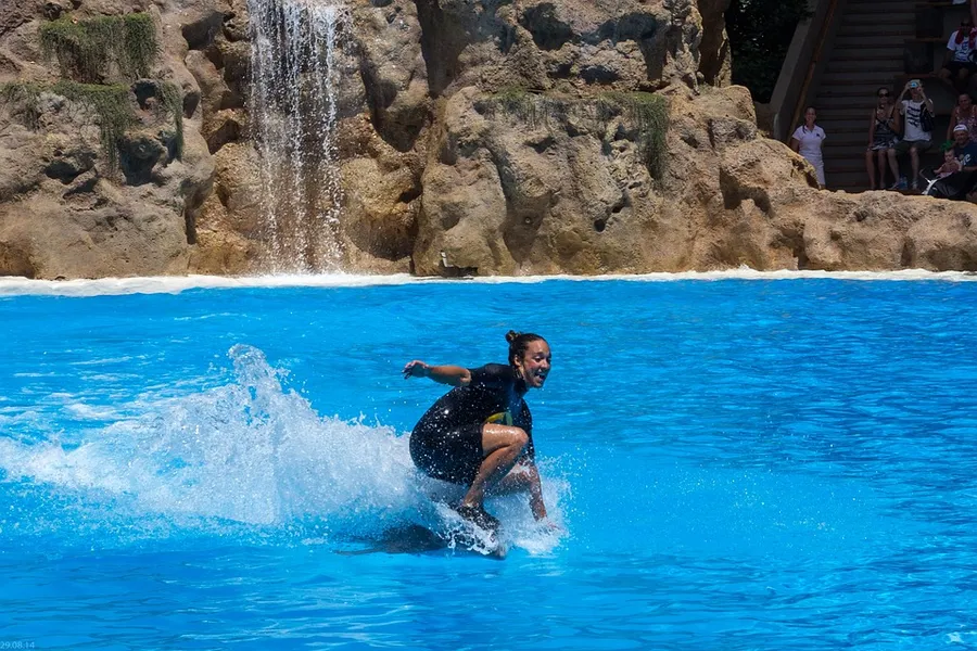 Dolphin Tours