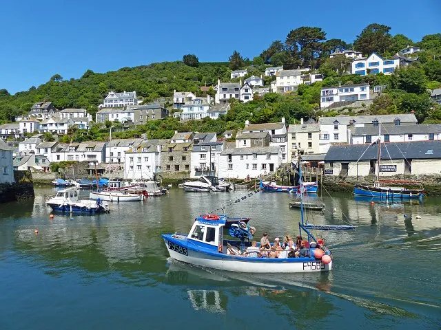 Dolphin Watching Boat Trips