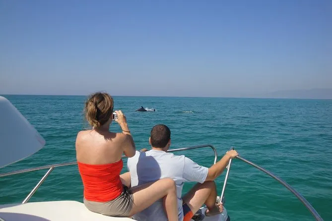 Dolphin Watching Tours