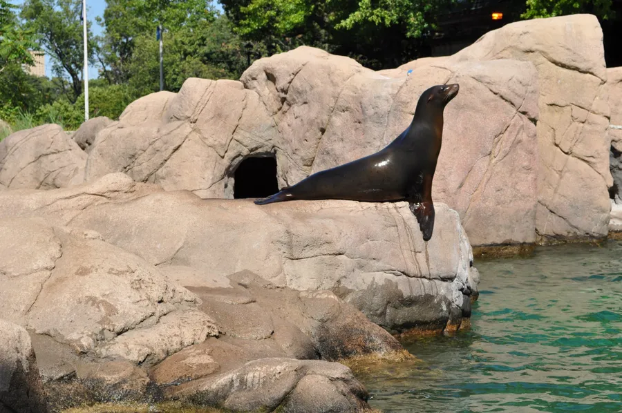 Dolphinarium