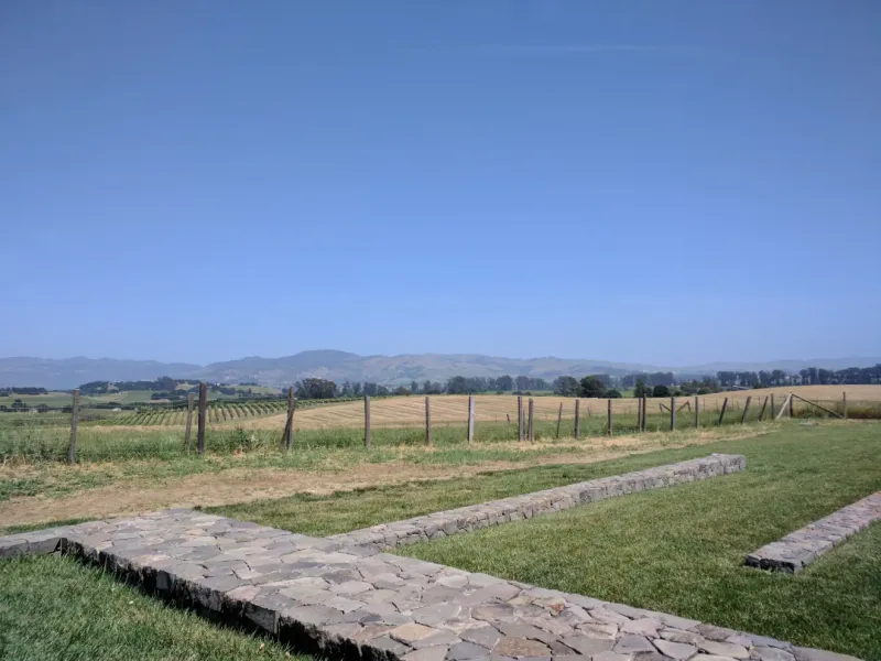 Domaine Carneros