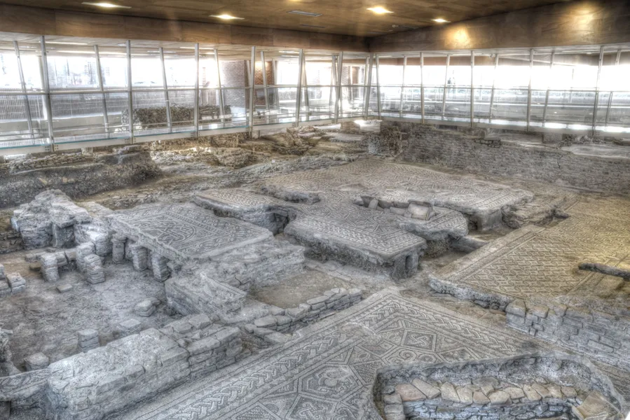 Domus del Chirurgo