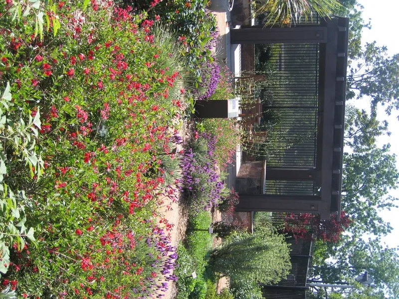 Donald E. Davis Arboretum