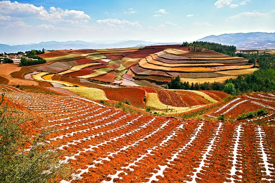 Dongchuan Red Land