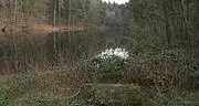 Donoperteich