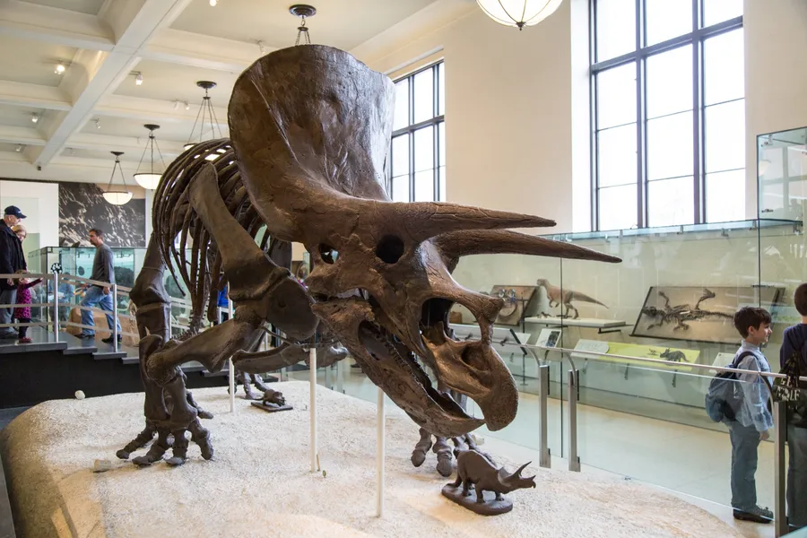 Douglas County Museum of History and Natural History