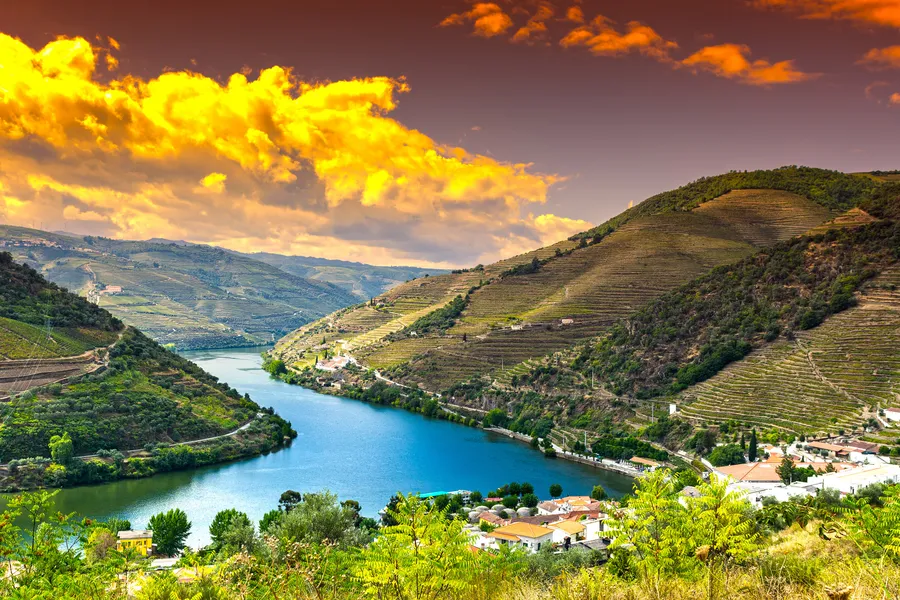 Douro River Cruise