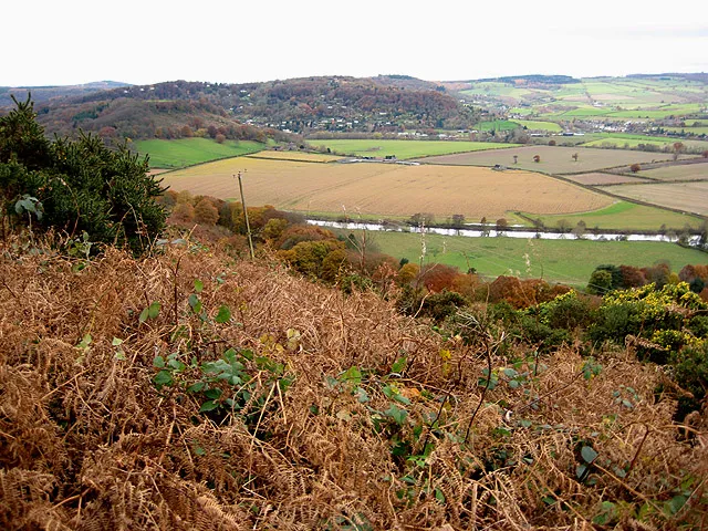 Doward Hill Fort