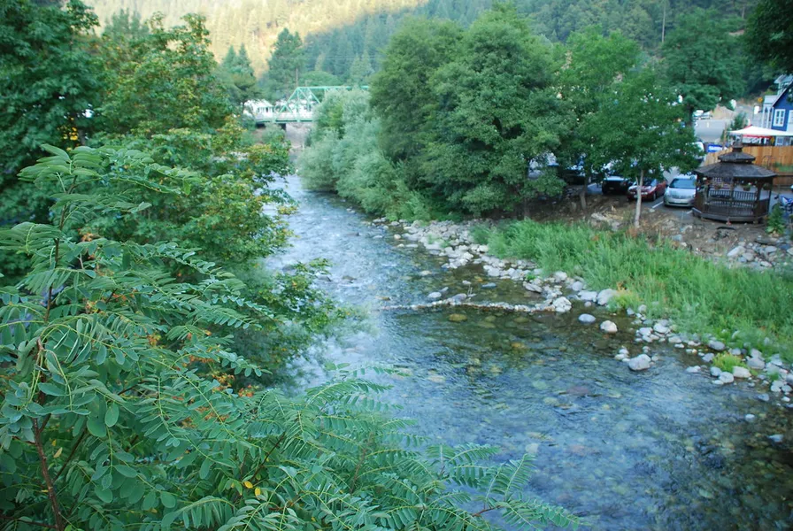 Downieville Downhill