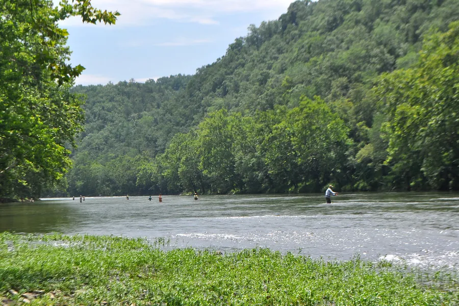 Downriver Canoe Company