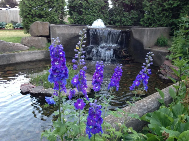 Downtown Bellevue Park