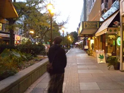 Downtown Ithaca Commons