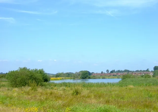 Doxey Marshes