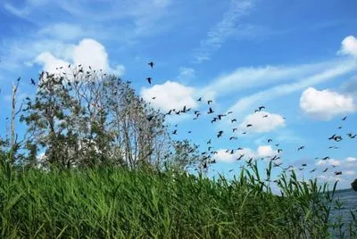 Drawsko Landscape Park