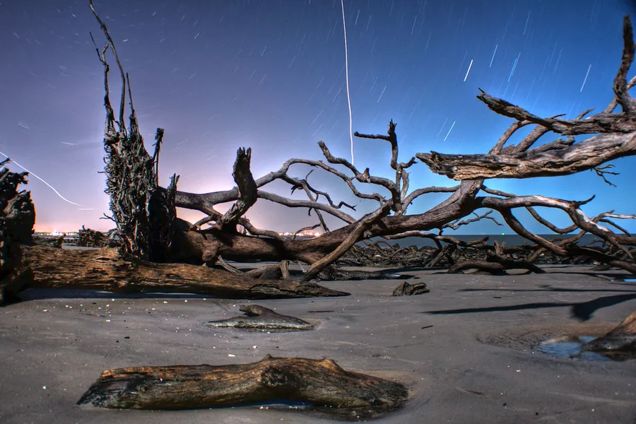 Driftwood Beach State Recreation Area