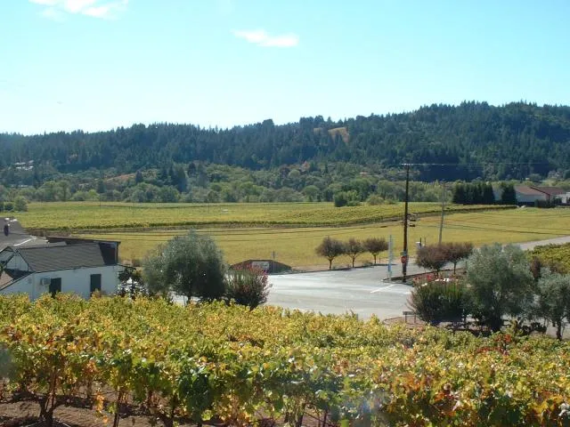 Dry Creek Valley