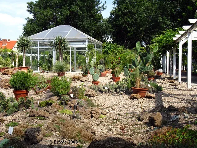 Dry Garden Bad Langensalza