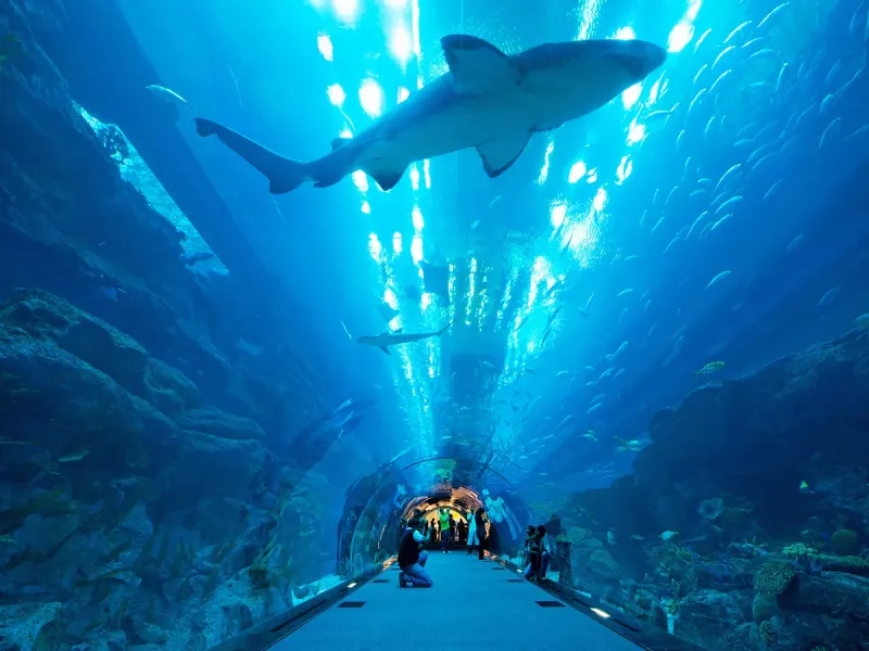 Dubai Aquarium