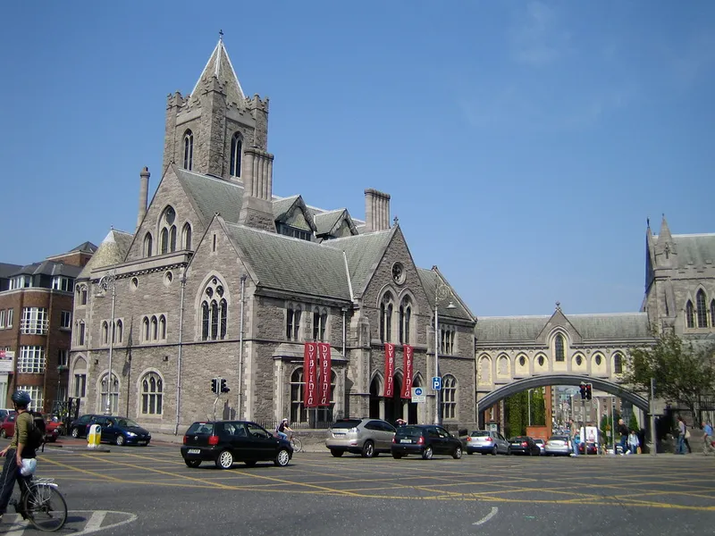 Dublinia