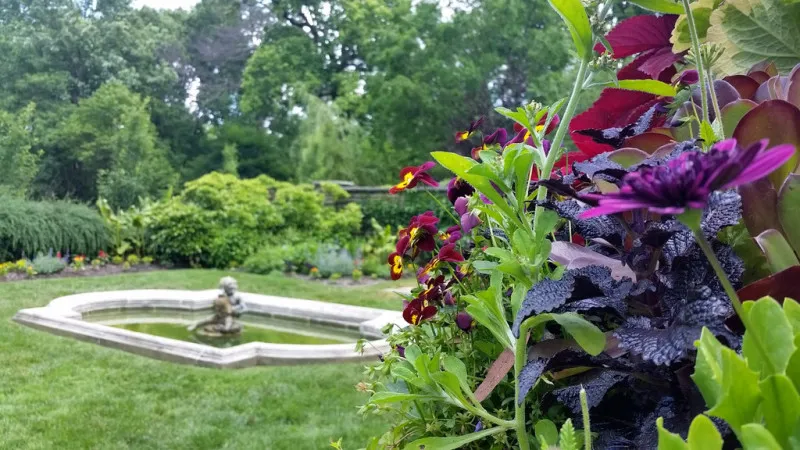 Dumbarton Oaks Museum & Garden