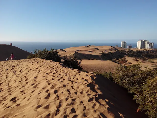 Dunas de Concón (Concon Sand Dunes)