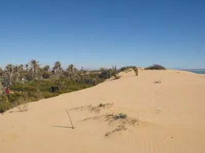Dunas de Guardamar