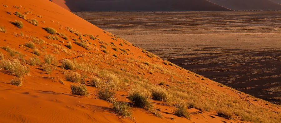 Dune 45