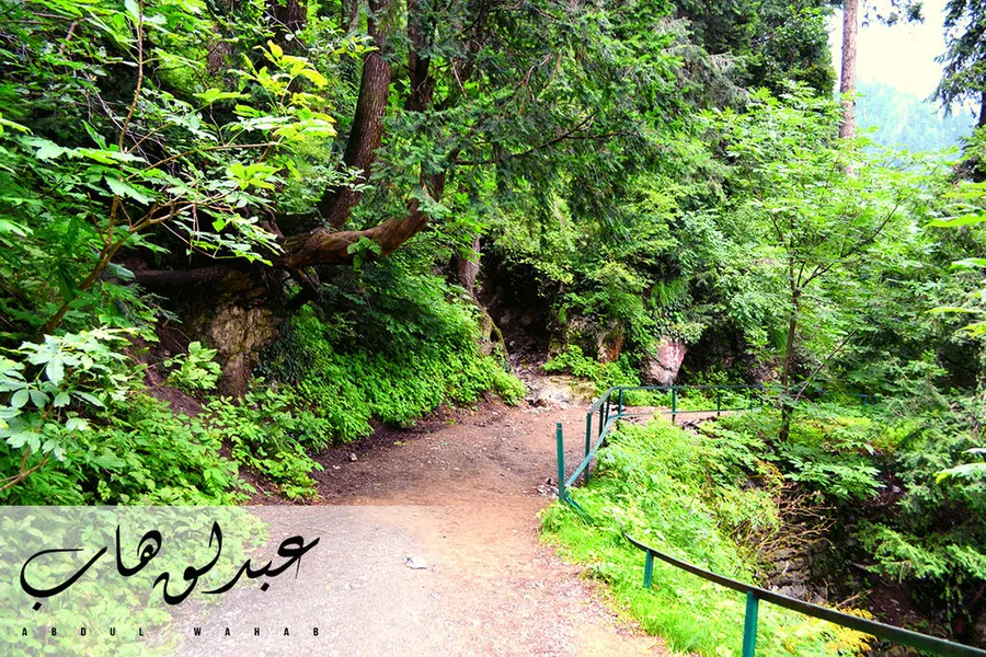 Dunga Gali Pipeline Track
