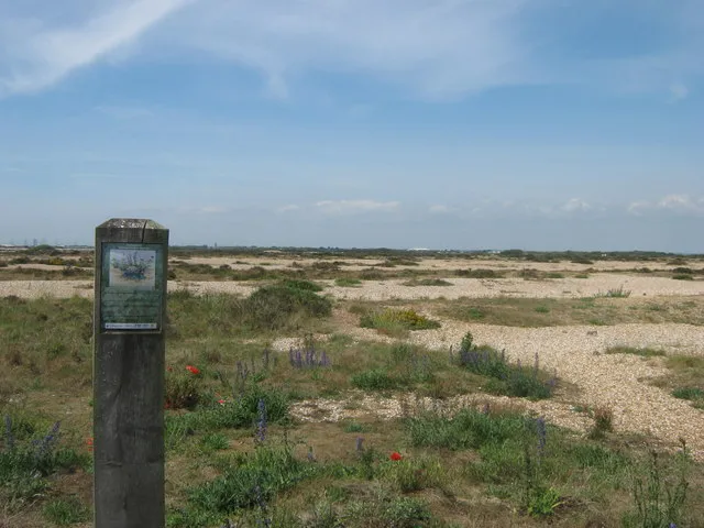 Dungeness National Nature Reserve