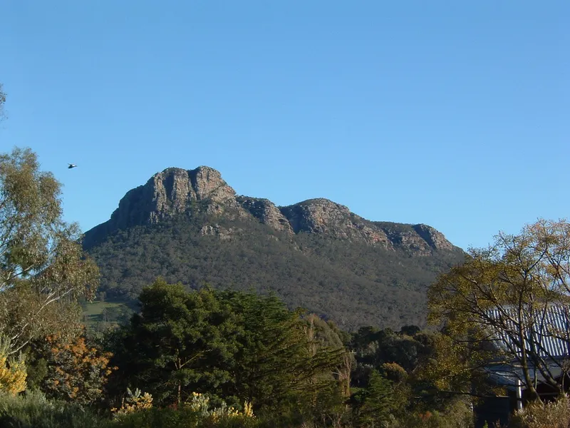 Dunkeld Arboretum