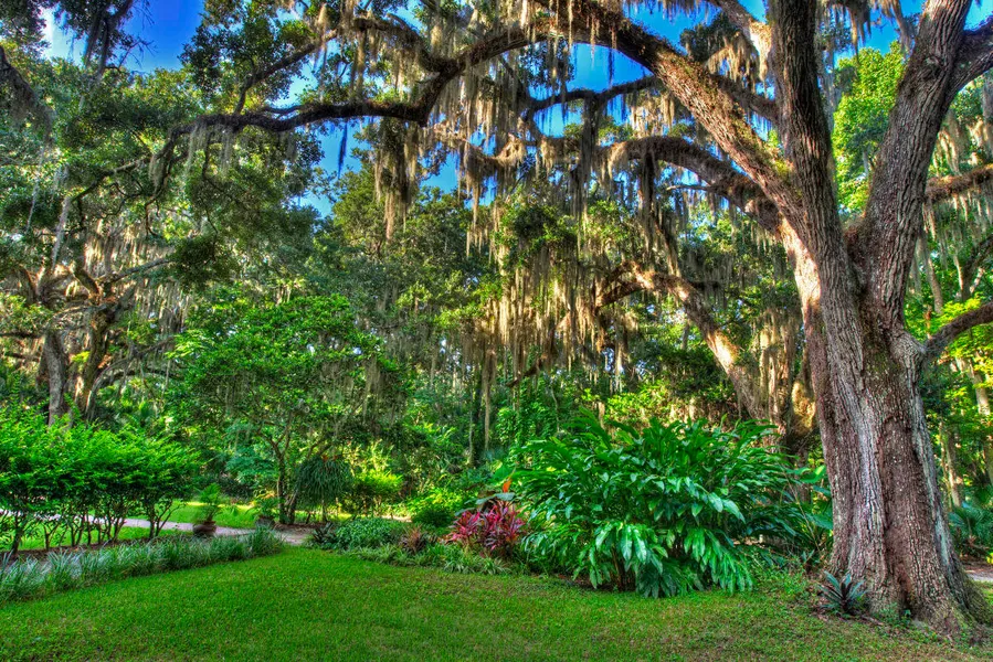 Dunlawton Sugar Mill Gardens