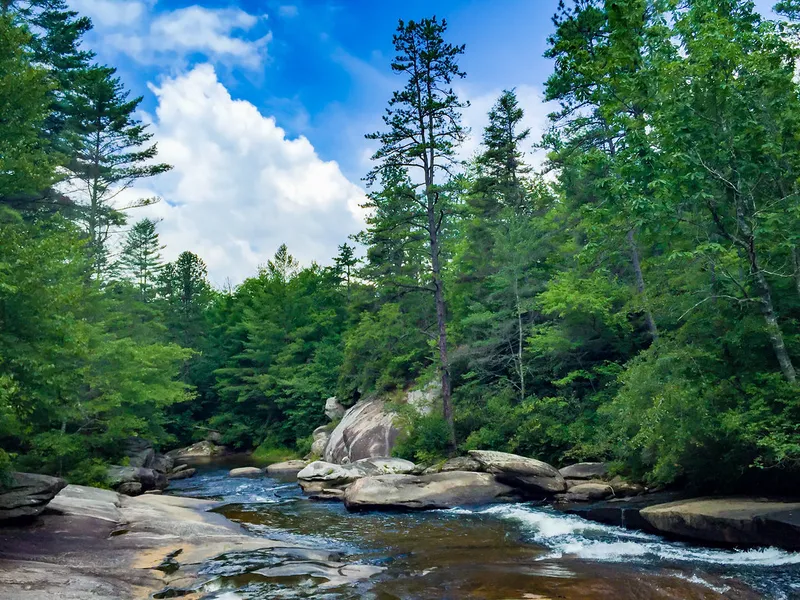 Dupont State Recreational Forest